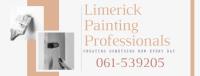 Limerick Painting Professionals image 2